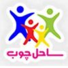 ساحل چوب تجهیزات خط رنگ دیاموند